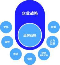 大道恒美 大品牌战略体系 四大业务板块全网首发