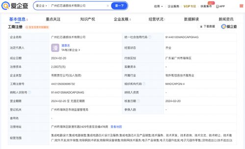 东芯股份投资成立新公司,含多项集成电路相关业务