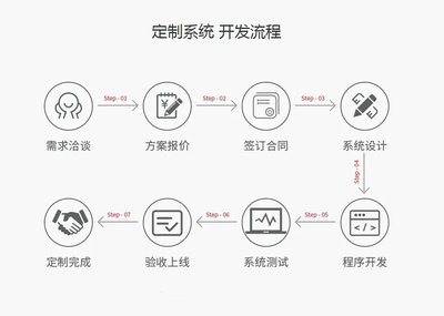 软件定制